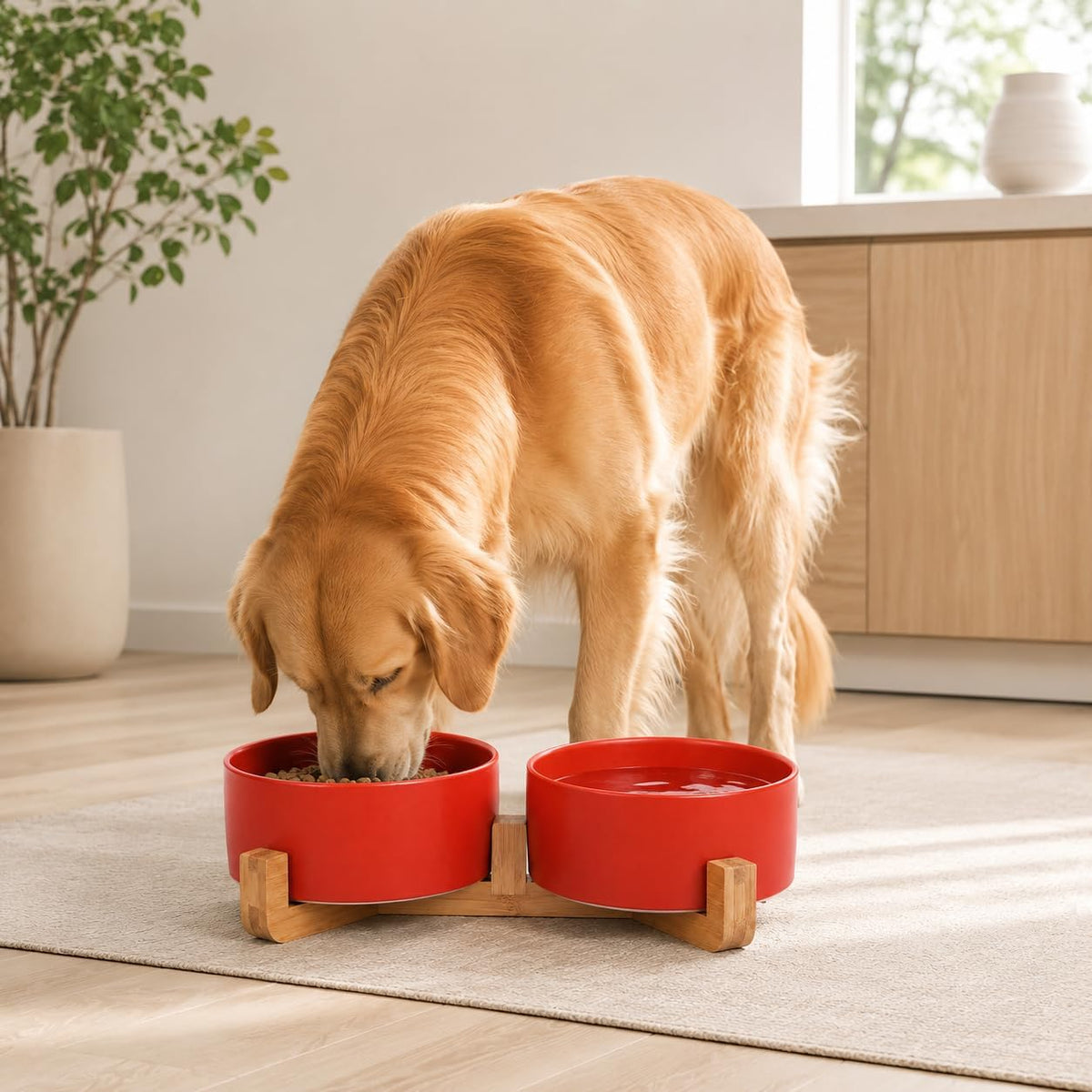 Ceramic Cat Dog Bowl Set with Stand,Pet Food and Water Dishes,Medium Dog Bowls anti -Slip Set of 2 Cat Dish Pet Food Bowls- Small Medium Size Pet (28OZ/6.1 In) Rust Red