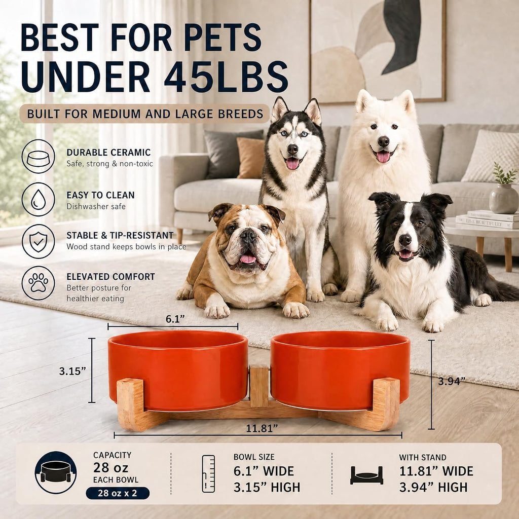 Ceramic Cat Dog Bowl Set with Stand,Pet Food and Water Dishes,Medium Dog Bowls anti -Slip Set of 2 Cat Dish Pet Food Bowls- Small Medium Size Pet (28OZ/6.1 In) Rust Red