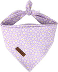 Spring Daisy Dog Bandana Washable Cotton Handkerchief Scarf Triangle Purple Bandana for Small Medium Large Dogs Girl Boy