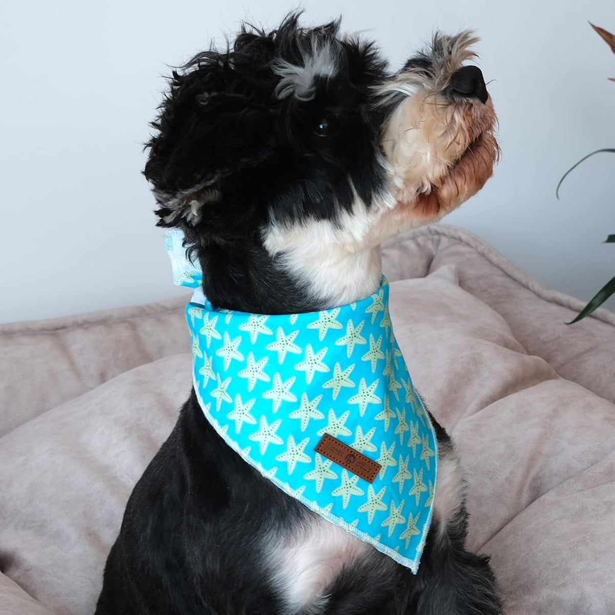 Summer Dog Bandana Starfish for Small Medium Large Dogs, Cat Dog Kerchief Triangle Bibs Scarf for Male Female